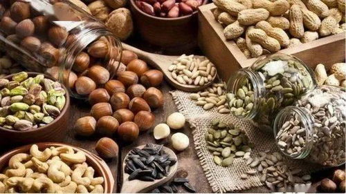 干果品质的守护者 生干坚果与籽类食品检测全解析