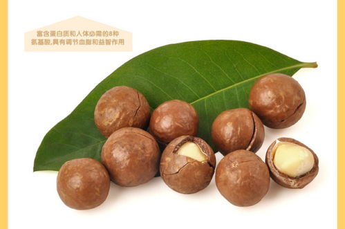 吃什么零食不发胖？干果以营养与益处作答